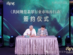 2024第七届中国进博会瑞丽市缅甸翡翠珠宝预展开幕举行知识产权保护与规范化发展研讨